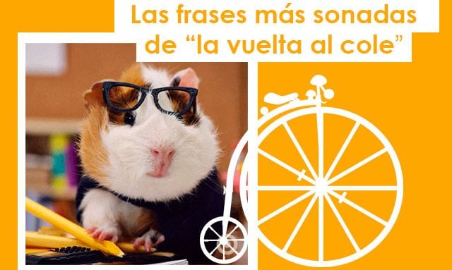 Frases típicas de “vuelta al cole”