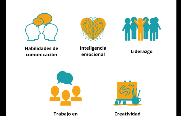 La importancia de las habilidades transversales